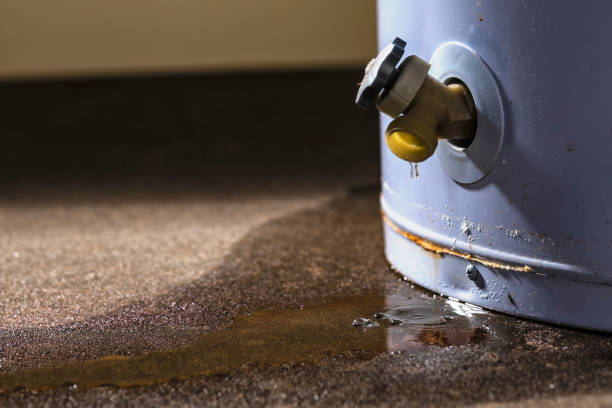 Reliable Sells, AZ Water damage restoration Solutions