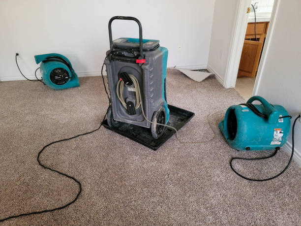 Water damage restoration insurance claims in Sells, AZ