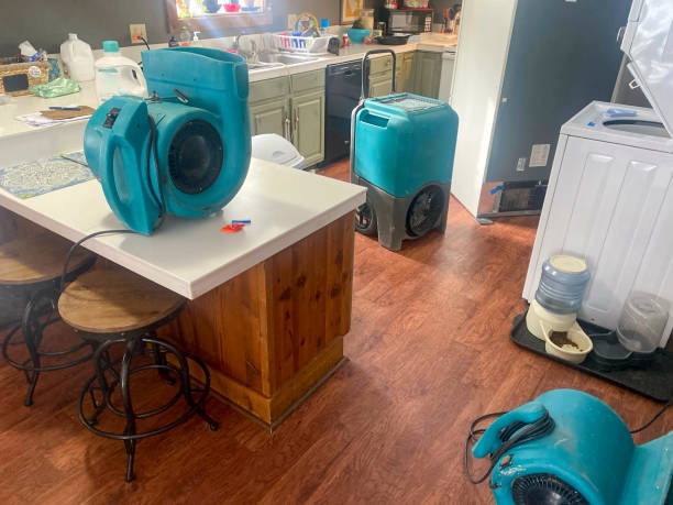 Best Sewage cleanup and water damage restoration  in Sells, AZ